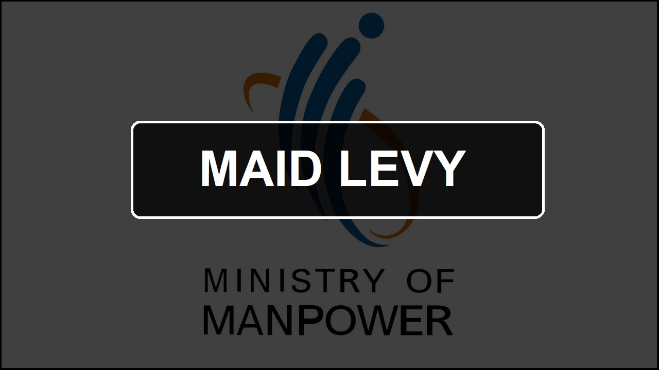 Maid Levy in Singapore